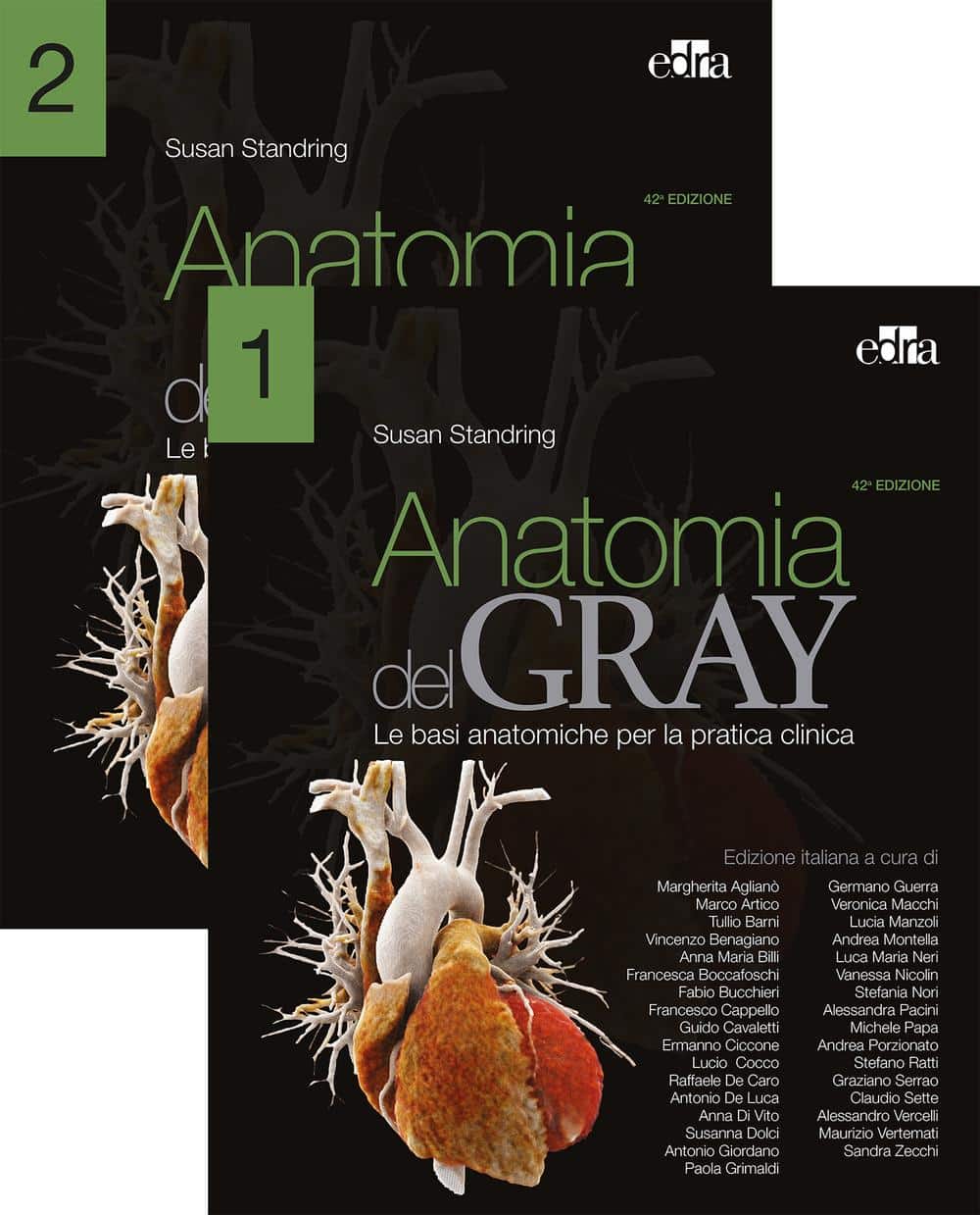 Copertina di Anatomia del Gray – Le basi anatomiche per la pratica clinica – Contenuti online inclusi 2022