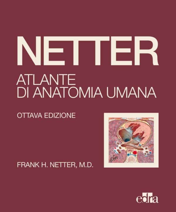 Copertina di Netter – Atlante di Anatomia Umana 2022 – Copertina Morbida