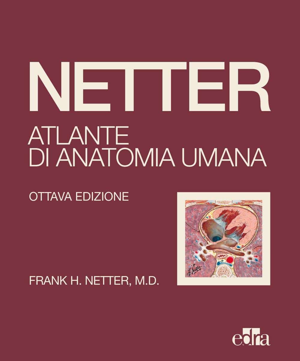 Copertina di Netter – Atlante di Anatomia Umana 2022 – Copertina Morbida