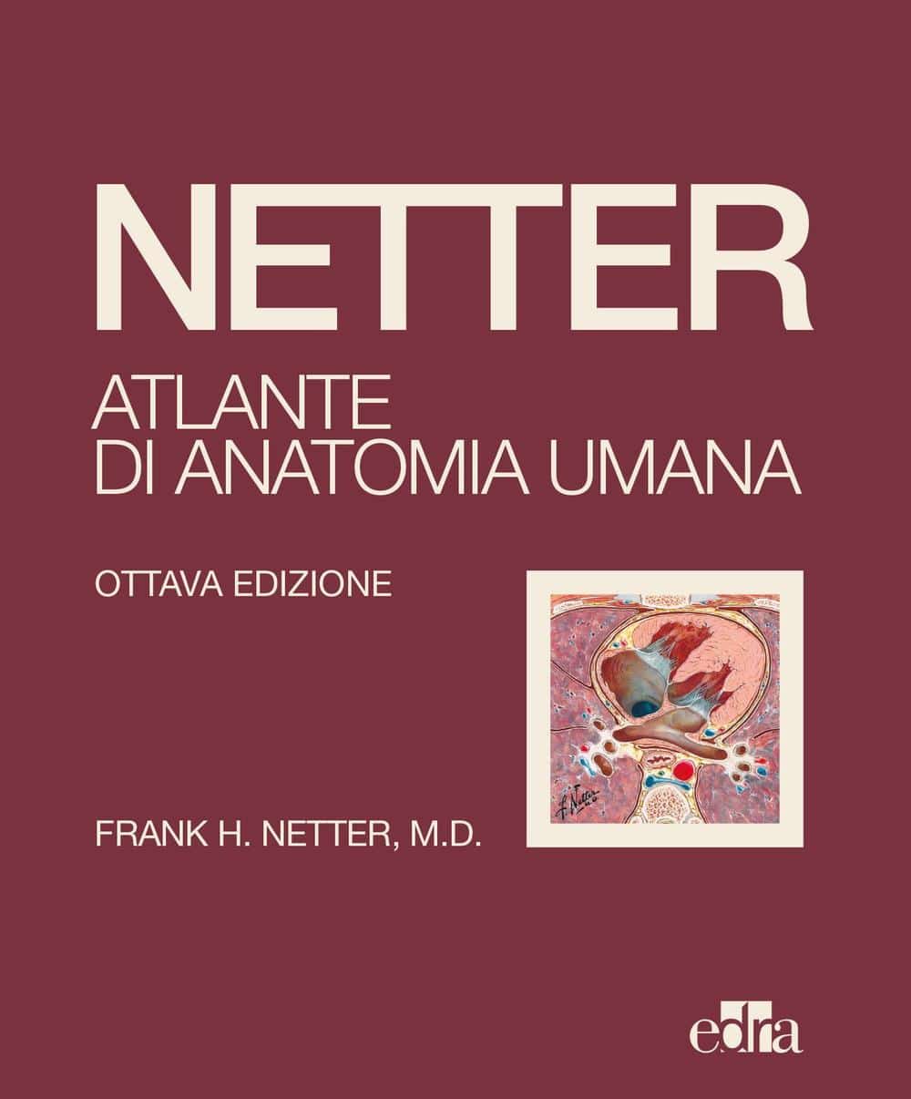 Copertina di Netter – Atlante di Anatomia Umana 2022 – Copertina Rigida