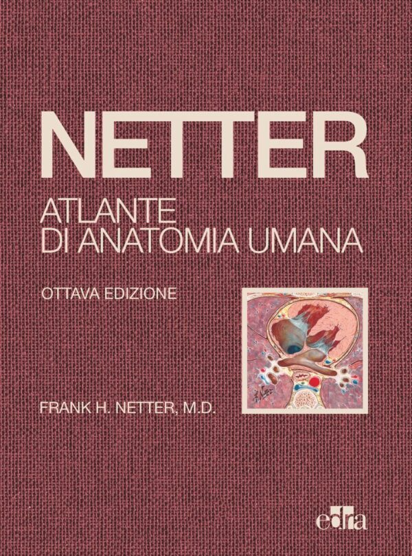 Copertina di Netter – Atlante di Anatomia Umana ( Edizione 2022 . Formato Deluxe con Copertina Cartonata Telata )