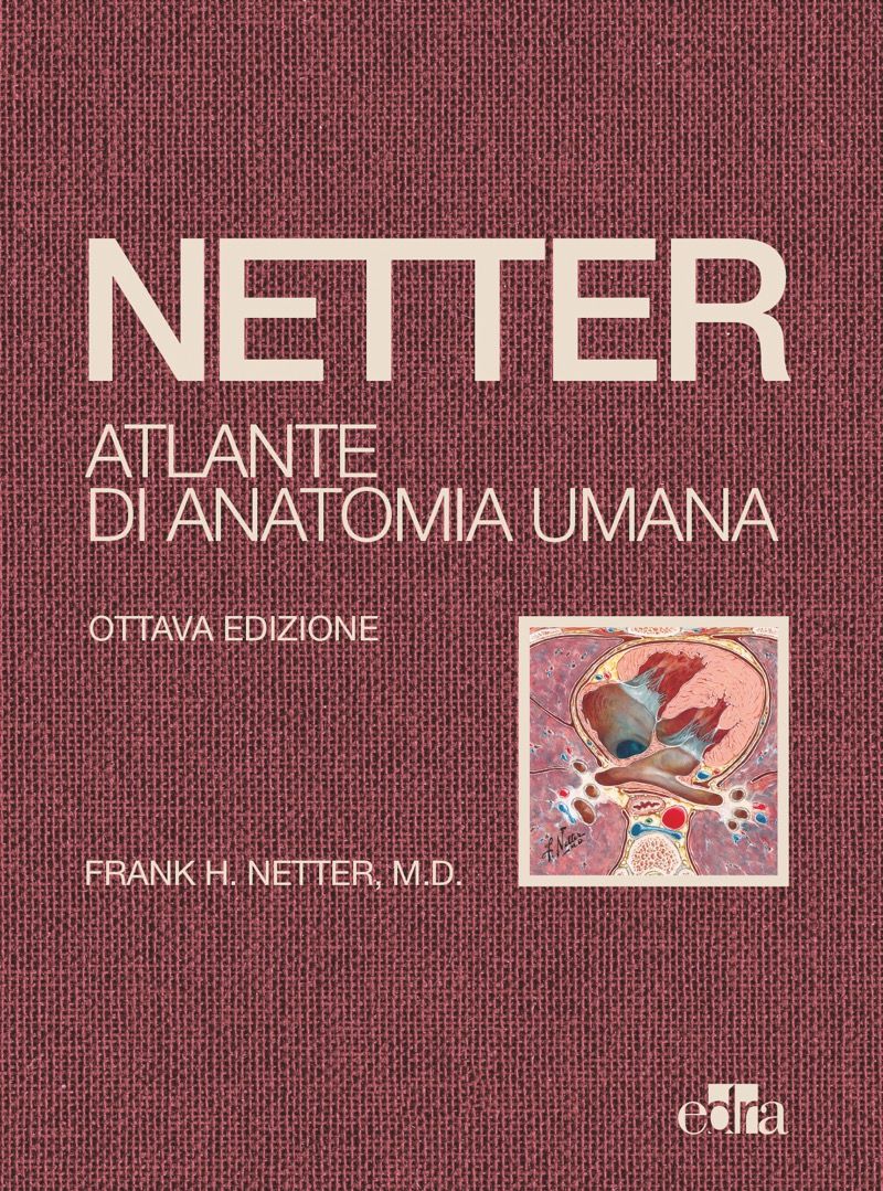 Copertina di Netter – Atlante di Anatomia Umana ( Edizione 2022 . Formato Deluxe con Copertina Cartonata Telata )