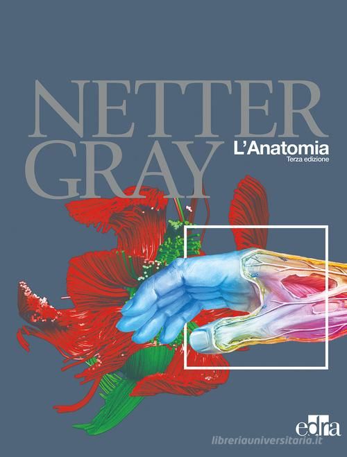 Copertina di Netter Gray – L’anatomia: Anatomia del Gray-Atlante di anatomia umana di Netter