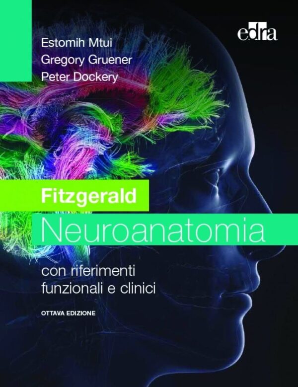 Copertina di Fitzgerald – Neuroanatomia . Con riferimenti funzionali e clinici – IN RISTAMPA-