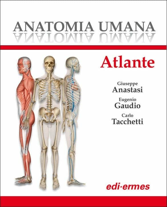 Copertina di Anastasi, Gaudio, Tacchetti – Anatomia Umana – Atlante
