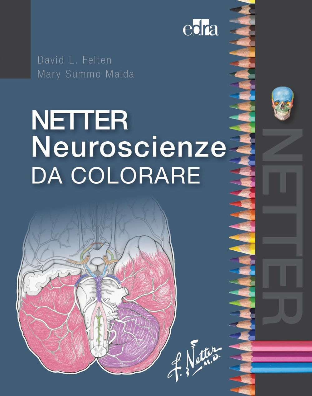 Copertina di di David L. Felten, Mary Summo Maida Netter neuroscienze da colorare