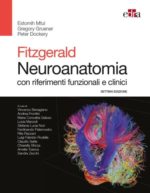 Copertina di Estomih Mtui, Gregory Gruner, FitzGerald Neuroanatomia con riferimenti funzionali e clinici settima ediz.
