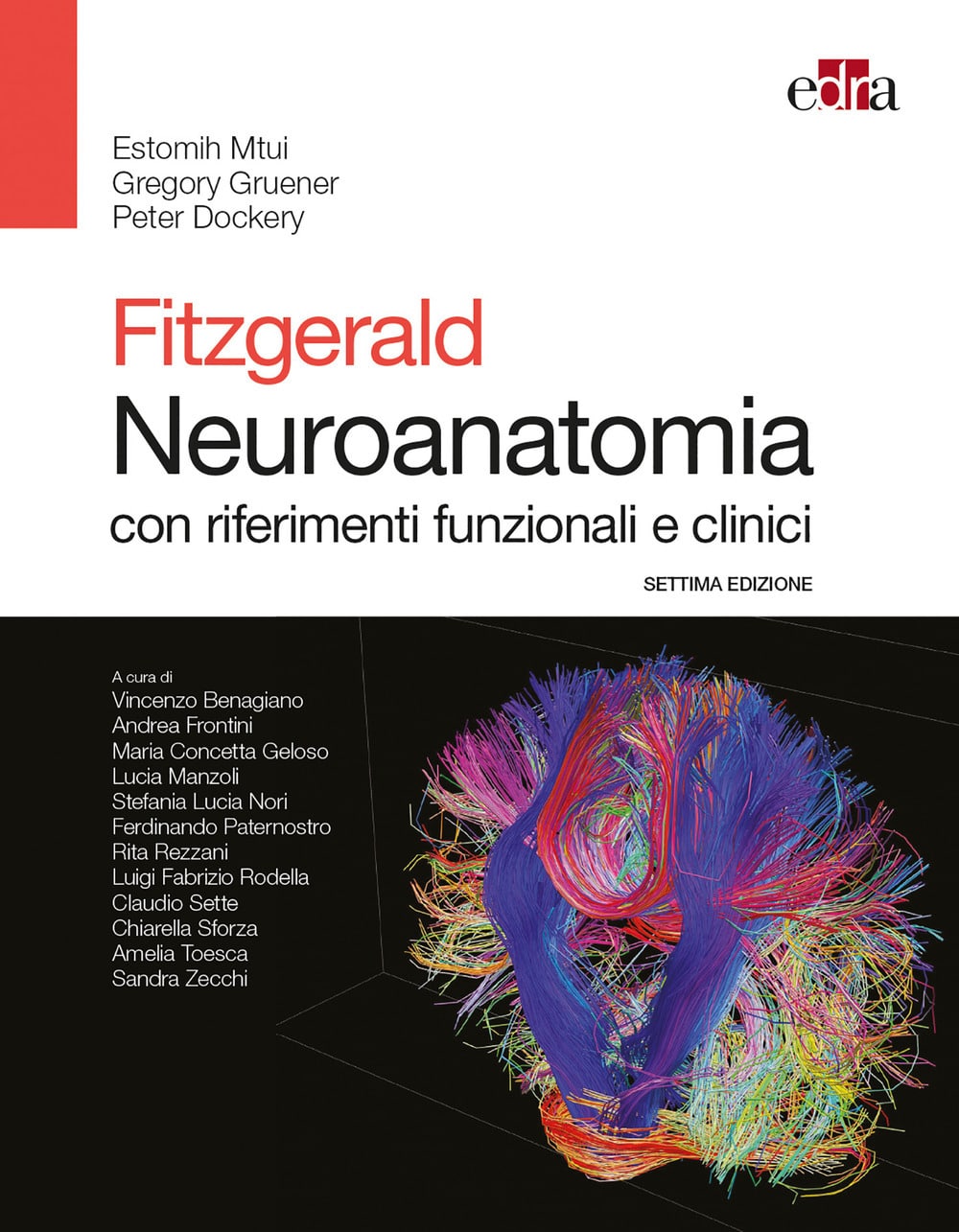 Copertina di Estomih Mtui, Gregory Gruner, FitzGerald Neuroanatomia con riferimenti funzionali e clinici settima ediz.