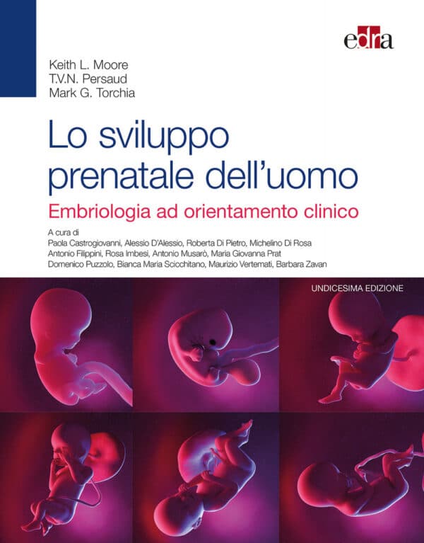 Copertina di Moore, Persaud, Torchia – Lo sviluppo prenatale dell’ uomo – Embriologia ad orientamento clinico XI ediz