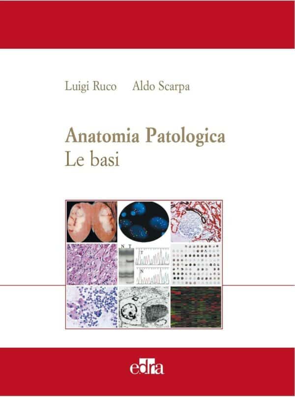 Copertina di Ruco, Scarpa – Anatomia patologica , Le basi